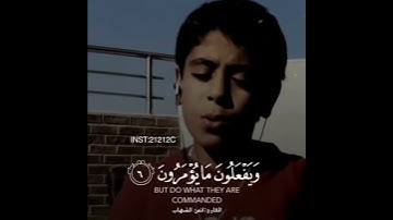 القارئ: انس الشهاب (لا يعصون الله مآ أمرهم)