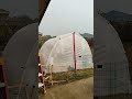 Green House built tough! It's holding through wind and rain #diy #gardening #satisfying #howto