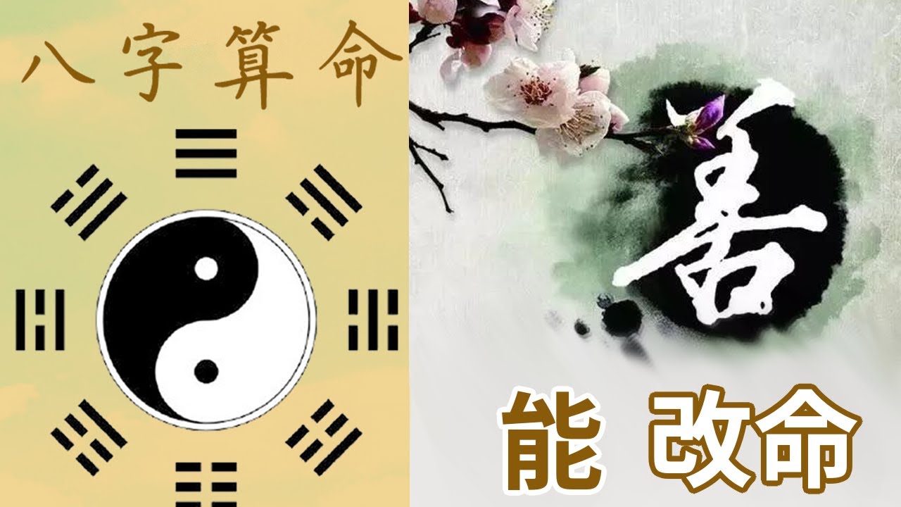 【如何正确改命】八字算命 | 不如改变命运 | 教您改命的正确方法 - YouTube