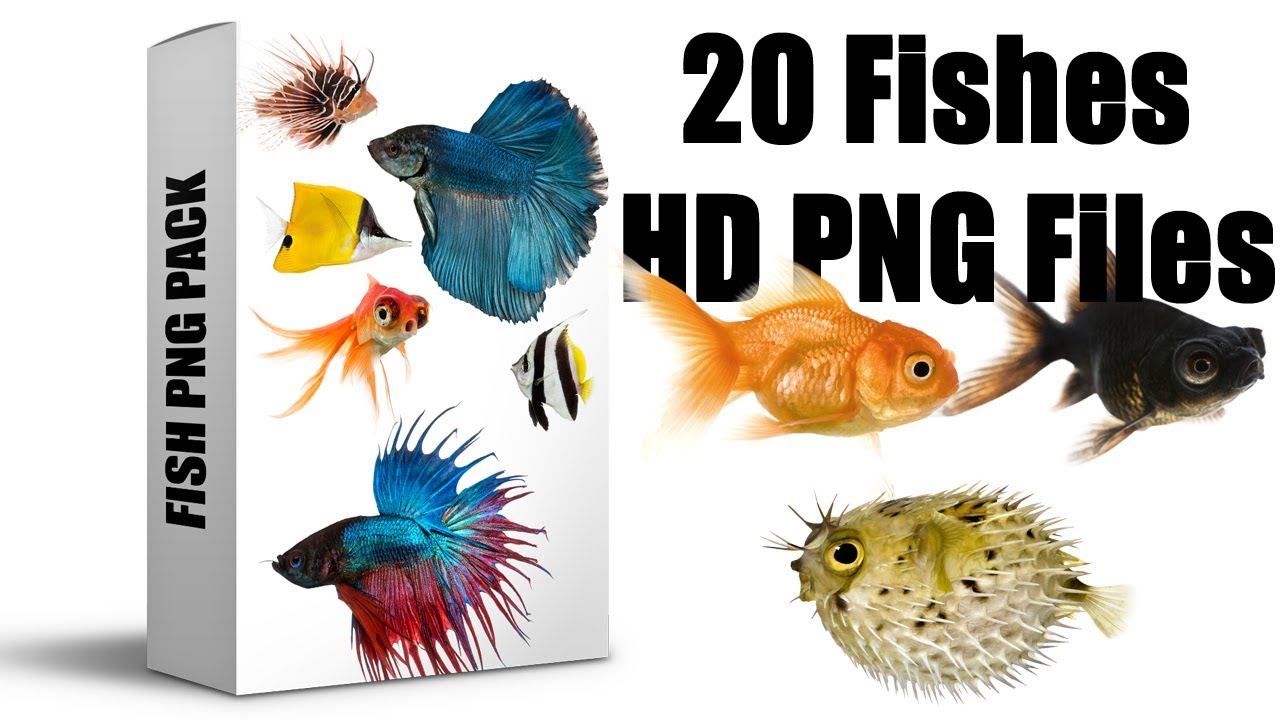 20 HD Fish PNG Files For Banners Sheri Sk Photoshop Tutorial 20 HD Fish PNG Files For Banners Sheri Sk Photoshop Tutorial
