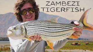 Fly Fishing for Tigerfish in Africa