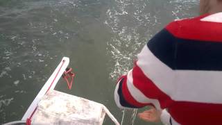 Trolling under sail