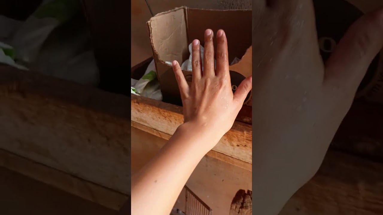 15 de janeiro de 2026