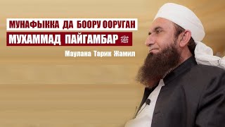 Мунафыкка да боор ооруган Мухаммад пайгамбар  ﷺ / Маулана Тарик Жамил