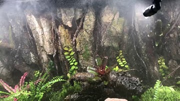 How loud is a mistking system