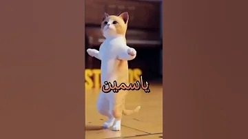 حسب الطلب وطلب مستمر ياسمين عمان مصر الجزائر العراق تركيا السعودية امارات 