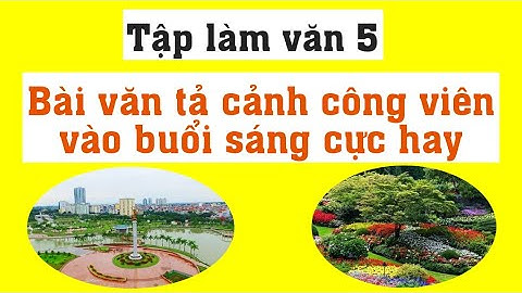 Bài văn tả công viên vào buổi sáng lớp 5