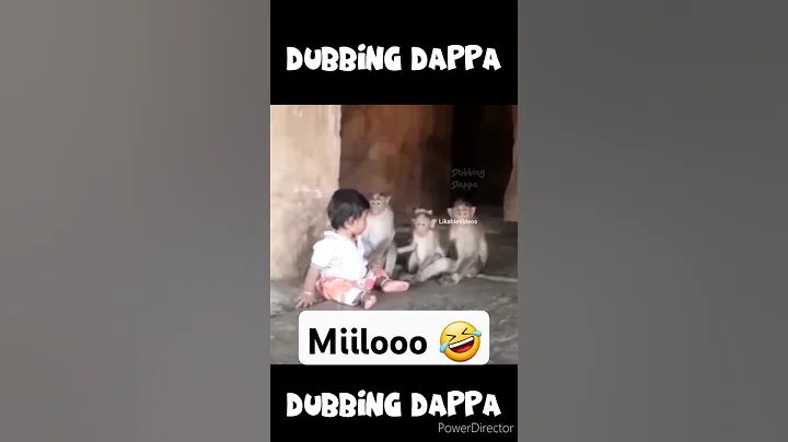 Miilooo 🤣 #funny #shorts #monkey #shortsfeed #animals #funnyanimals #dubbingdappa #monkeys #pets