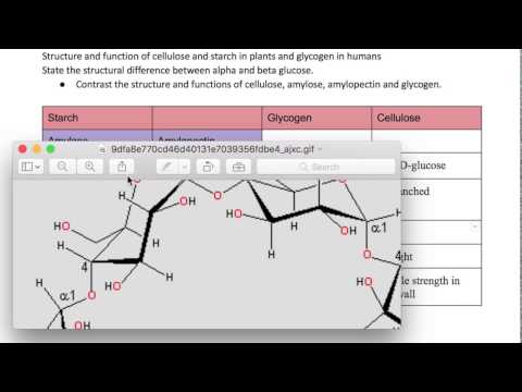 The difference between starch, glycogen and cellulose- IB Biology