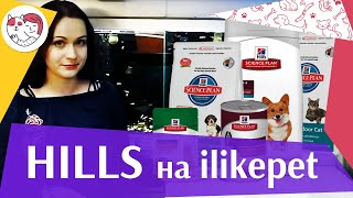 Hills на ilikepet Hills на ilikepet