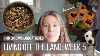 Living off what we grow, forage and hunt (Week 5)