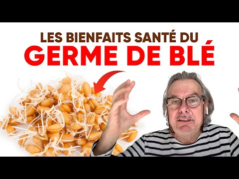 Vidéo: Blé - Les Avantages Et Les Utilisations Du Blé, Du Germe De Blé