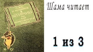 Штирлиц, или как размножаются ежики (аудиокнига) Читает Шама. 1 из 3