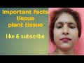 important facts tissu (plant tissue)
