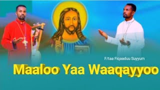 maalooyaawaaqayyoo Ftaa Fiqaaduu Suyyum iyyerusaaleemmiidiyaa