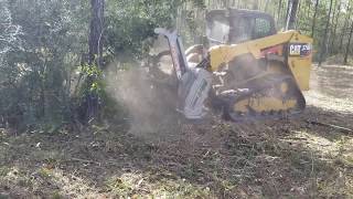 Cat 279D with Cimaf 180D Mulching Underbrush by Johnny Waters 35,689 views 5 years ago 4 minutes, 41 seconds