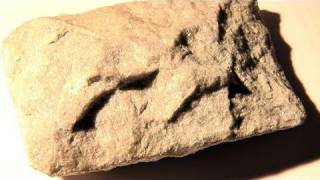 How To Know About Metamorphic Rocks Metamorphic Rocks Hommocks Earth Science Department