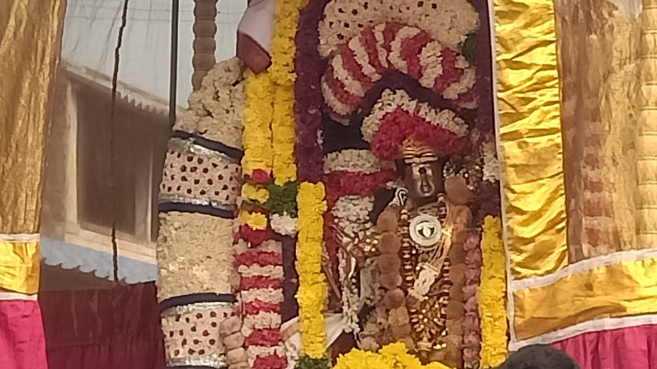 திருவலாங்காடு வட அரண்யம் ஈஸ்வரர் ஆருத்ர தரிசனம் திருவிழா