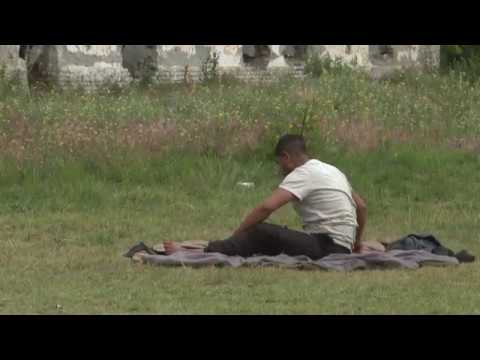 Videó: 6 Élelmiszer A Xilit Elrejtőzik