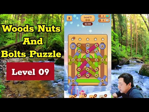 Wood Nuts And Bolt Puzzle Level 9