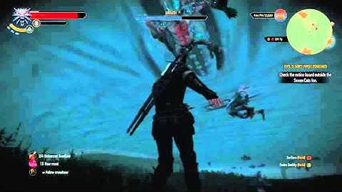 Swimming / Underwater Combat: The Witcher 3 Wild Hunt