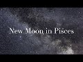 NEW MOON IN PISCES | PLANETARY ASPECTS, SHADOW WORK, WITCHCRAFT, MAGICK &amp; RITUALS | FEB 20TH 2023