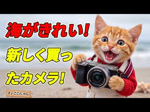 まさかの展開】120万円のカメラに憧れたここにゃん…寿司屋で働いた結果
