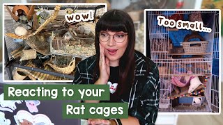 Reacting to your Rat cage setups | pt.5