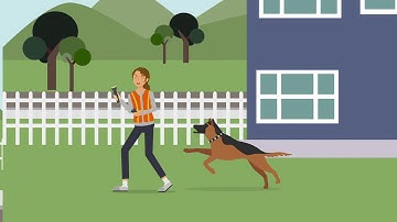 Pingaro v. Rossi Case Brief Summary | Law Case Explained