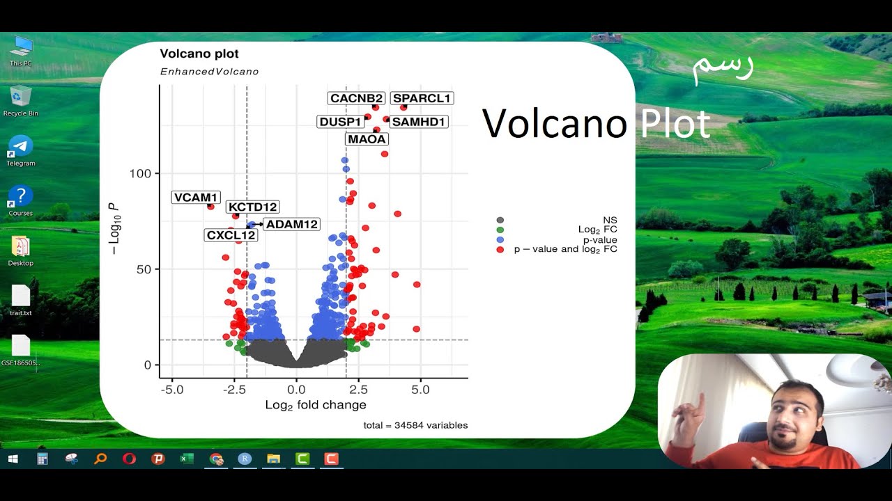 How to generate a professional volcano plot on RNA-Seq results ...