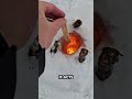 This ANCIENT Trick Keeps Fire ALIVE in Snow ❄️🔥