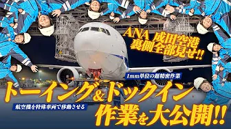 image-【グランドハンドリングの重要任務！】トーイング・ドックインって？【成田空港】