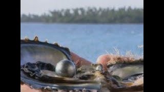 Pearls of Tahiti documentary of Patrick Voillot