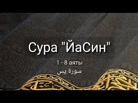 Выучите Коран наизусть | Каждый аят по 10 раз 🌼| Сура 36 "ЙаСин" (1-8 аяты)