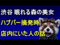 ハプバー摘発時に店内にいた人の話（渋谷のハプニングバー眠れる森の美女）