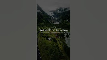 القرآن الكريم، الشيخ ياسر الدوسري، سورة النور. 🙏📖 #قرآن #الشيخ_ياسر_الدوسري #سورة_النور