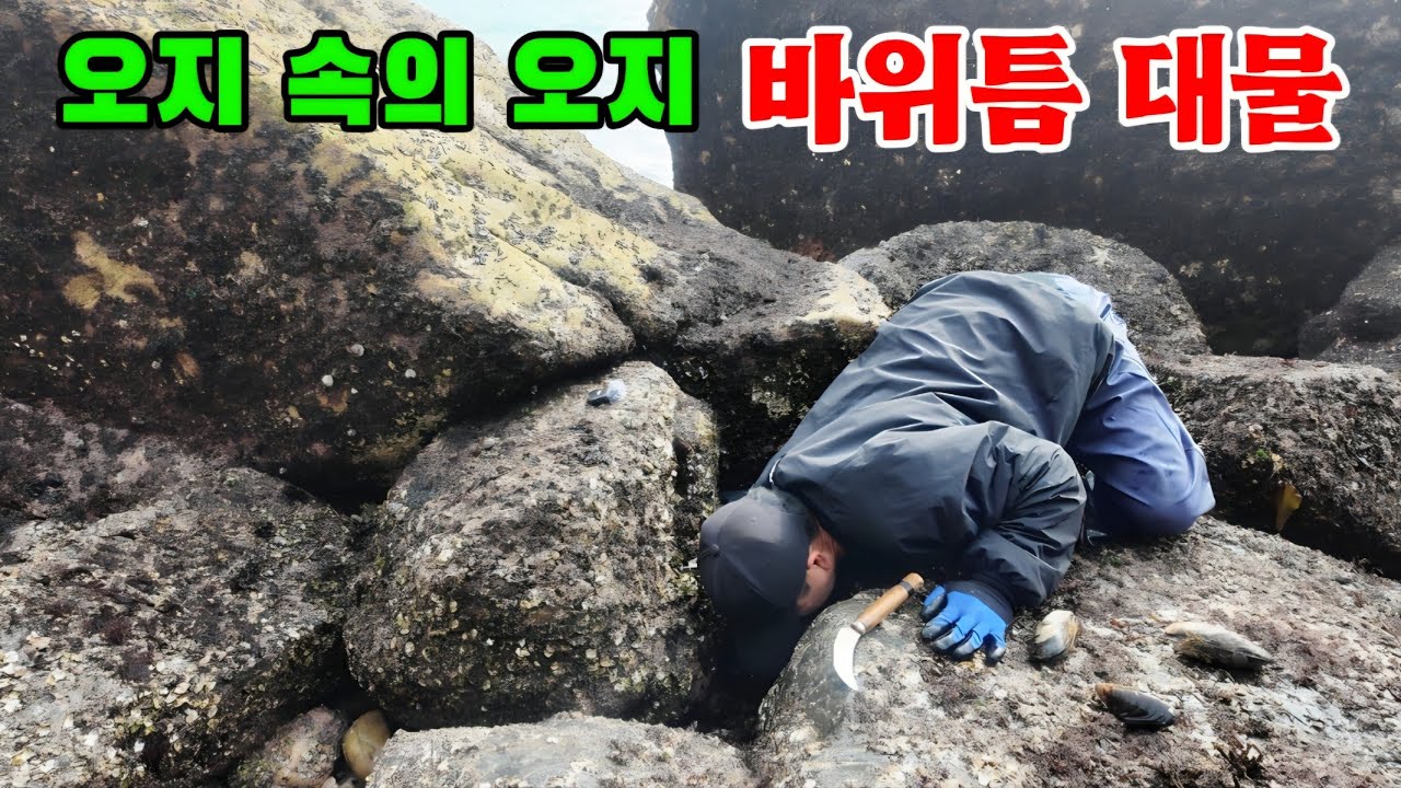 평소 가지 못한 비밀 갯바위사이 엄청난게 숨었네요