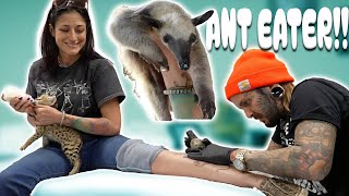 ANT EATER TATTOO AT A ZOO! @XEWFZOO by Tyler Nolan 31,588 views 2 months ago 11 minutes, 24 seconds