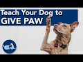 How to Teach Your Dog to Give Paw!