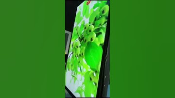 Double Sided HD-LVD Video Advertising Displays For Shop Front Windows