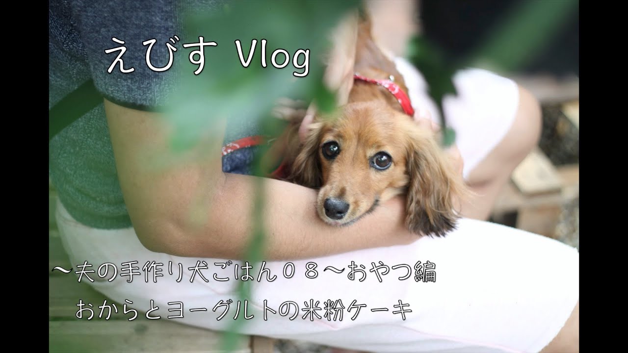 手作り犬ごはん おから とヨーグルトの米粉ケーキ ０８ カニンヘンダックス えびすの美味しい日常 おやつ編 Youtube