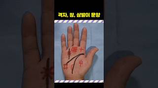 손에 창문양이? 행운을 상징하는 손금문양 #손금 #재물운