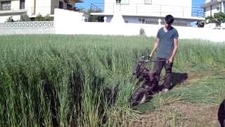 Segadora Autopropulsada Con Peine Basculante