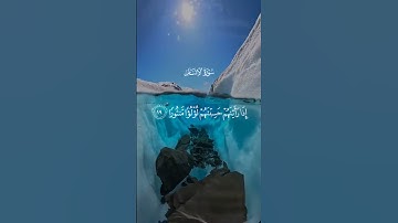تلاوة خاشعة تهز القلوب | عَيْنًا فِيهَا تُسَمَّى سَلْسَبِيلًا | الشيخ محمد اللحيدان 🖤🪐