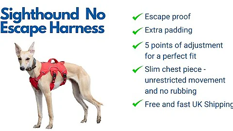 Best Harness for Greyhounds, Whippets, Lurchers and All Sighthound Breeds - Escape Proof