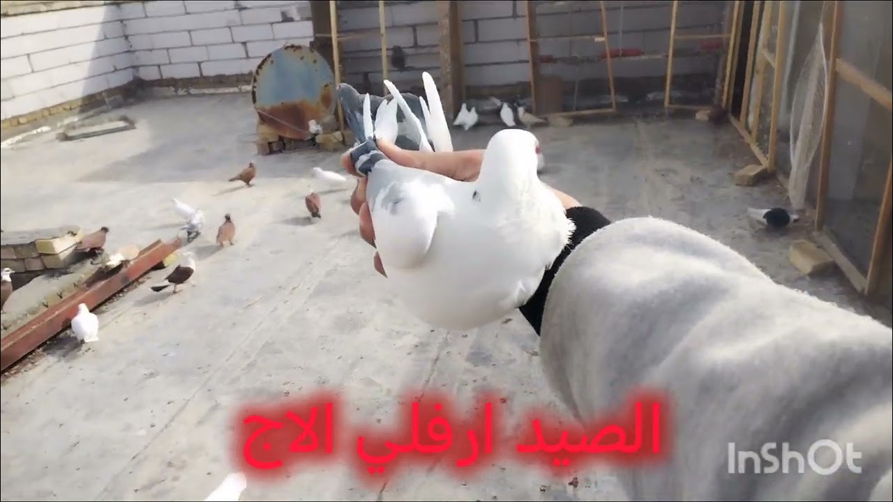 الصيد دبل لعيونكم الغوالي  