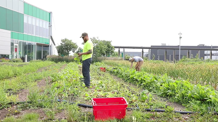 Kyle Woodward - Horticulture Technician - Durham C...
