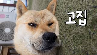 밤에 잠을 잘 수가 없습니다