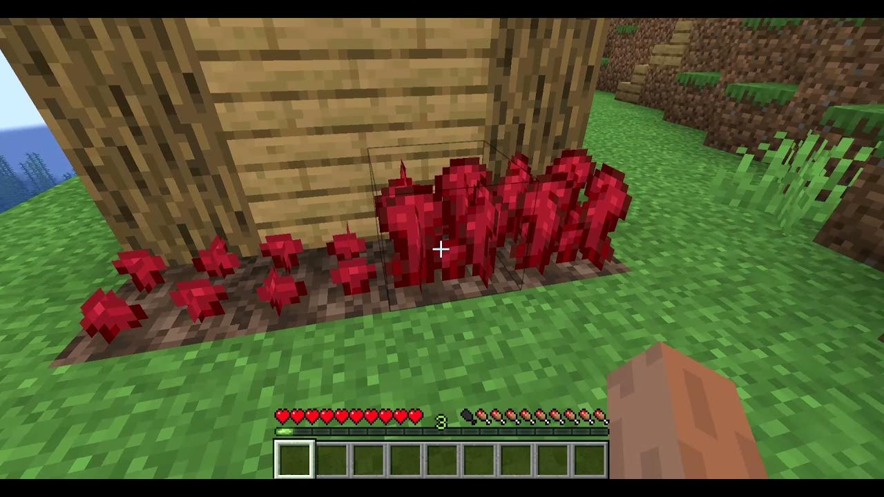 How To Make Nether Wart Grow Faster How to grow nether wart in Minecraft - YouTube