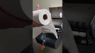 Bathroom Paper Towel Change